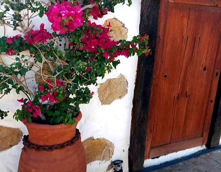 Casa rural vista mar with private jacuzzi&garden Santa Cruz de Tenerife Esterno foto